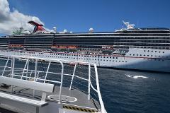 Tangalooma Cruise Shuttle