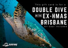 Gift Card Ex-HMAS Brisbane Double Dive Including all gear