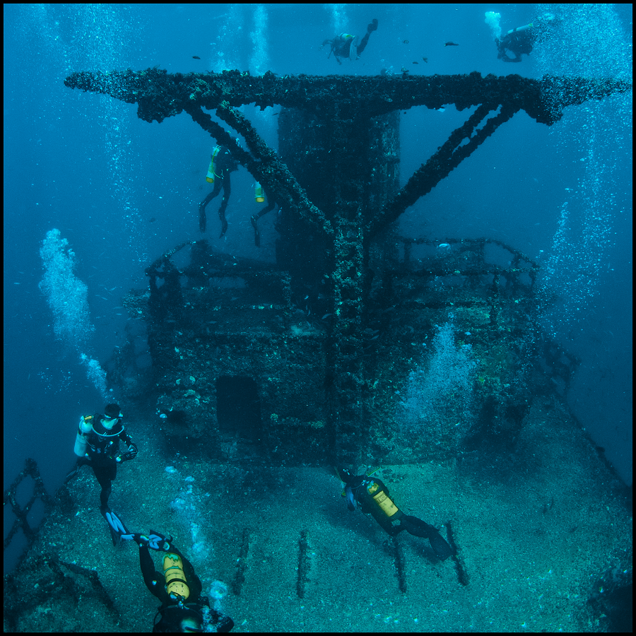 dive tour brisbane