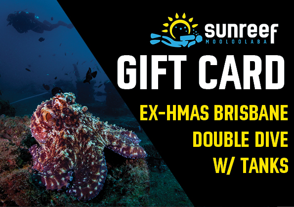 Gift Card Ex-HMAS Brisbane Double Dive w/ Tanks