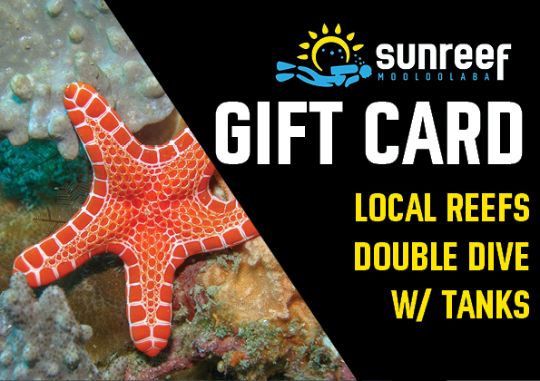 Gift Card Local Reefs Double Dive w/ Tanks