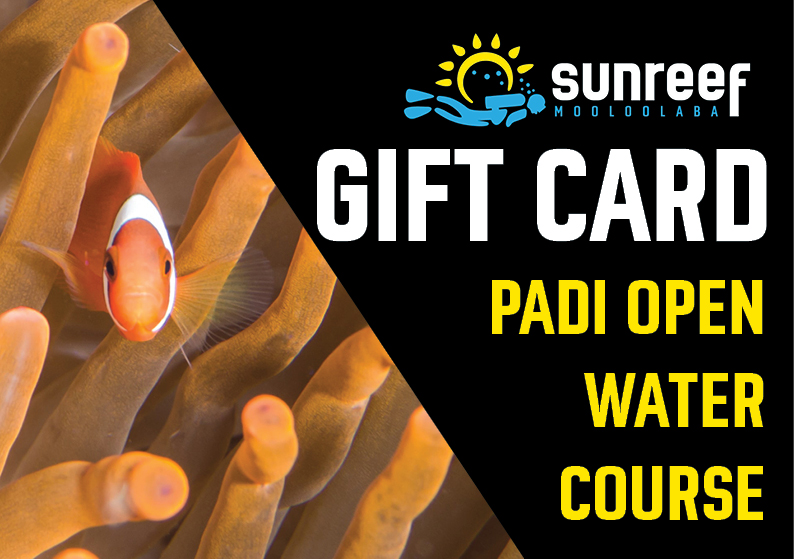 Gift Card PADI Open Water Course