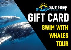 Gift Card Swim with Whales