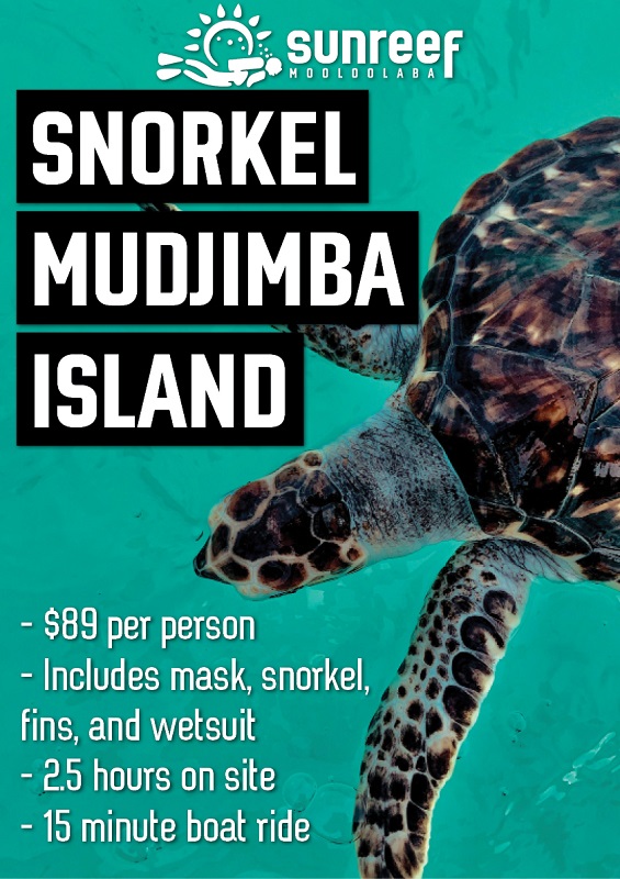 Snorkel on the Sunshine Coast on the Mudjimba Island Snorkeling Trip