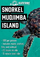 Snorkel with Turtles at Mudjimba Island