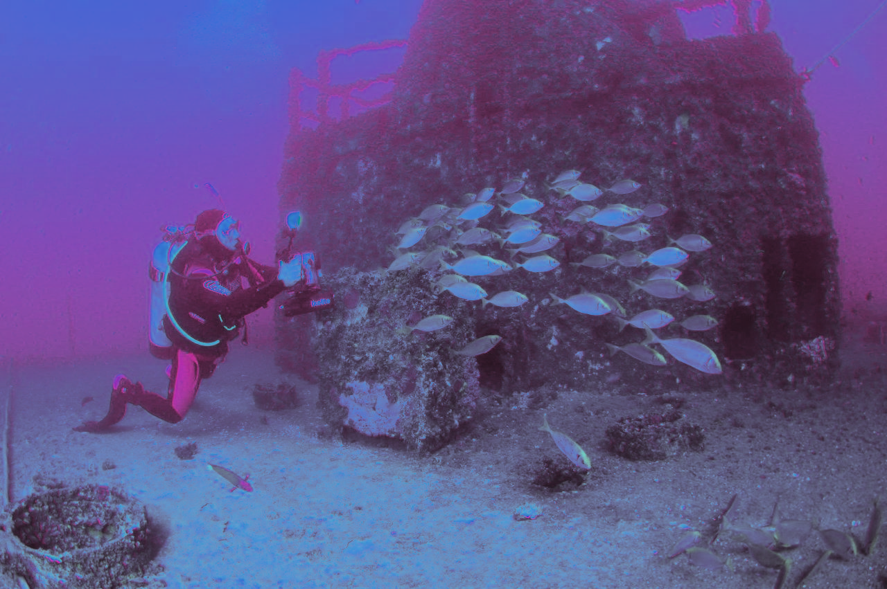 zPADI Digital Underwater Photographer