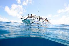 Full Boat Charter for Swim with Whales