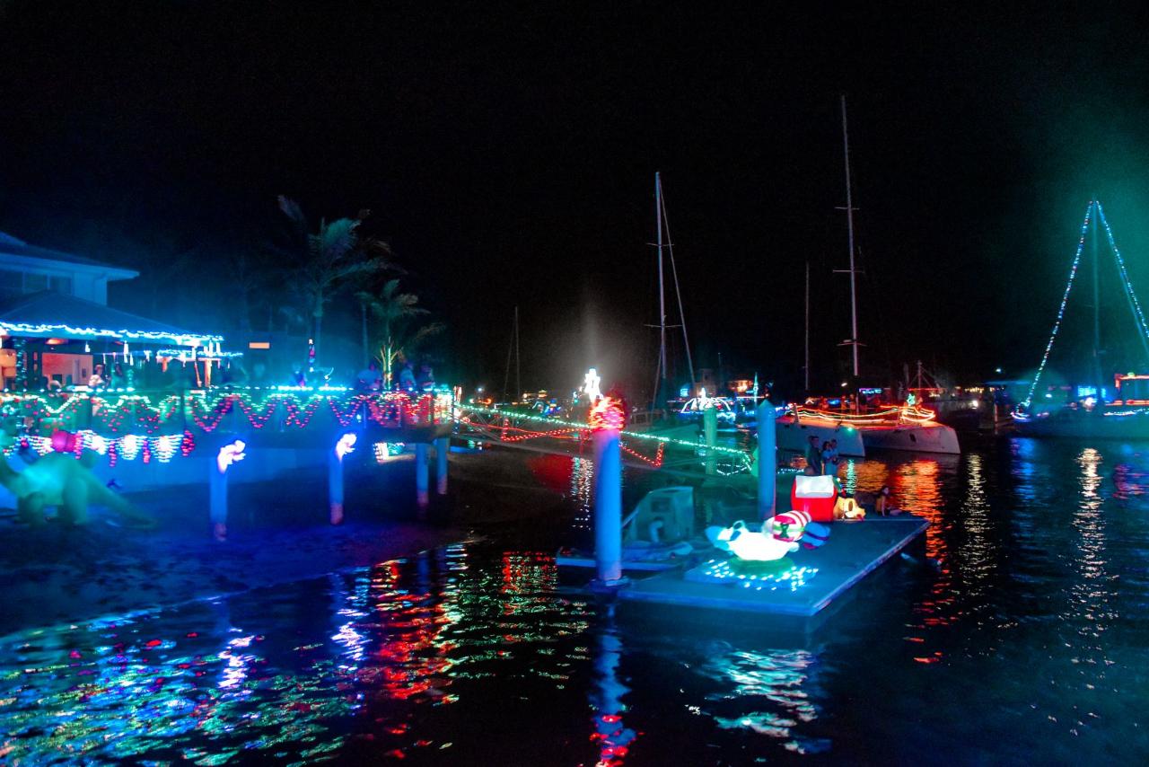 Christmas Lights Canal Cruises on Whale One departing from The Wharf