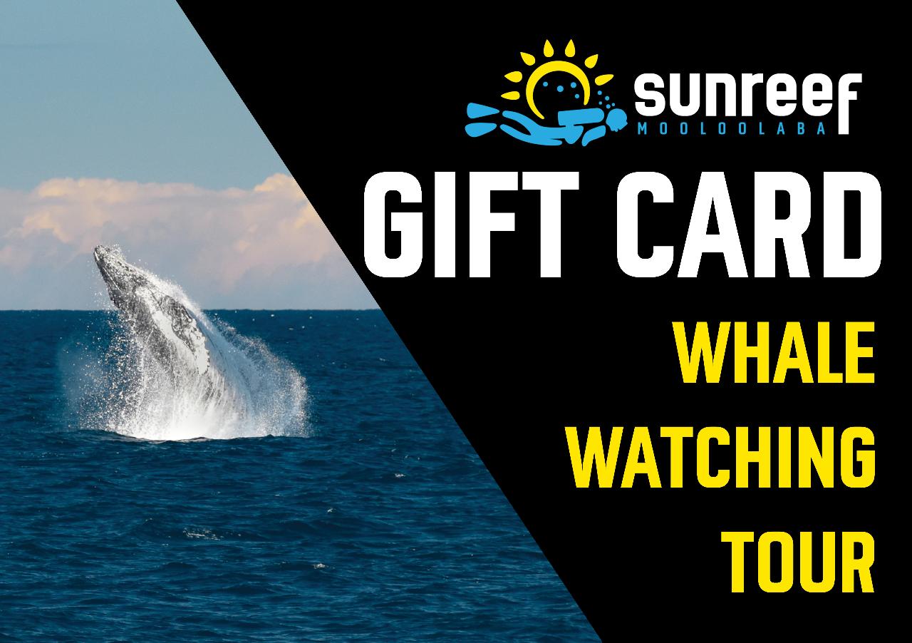 Gift Card Whale Watching