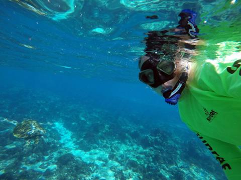 safari snorkel sunshine coast