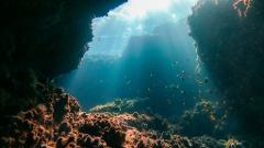 Sunrise Dive Reef (Single Dive)