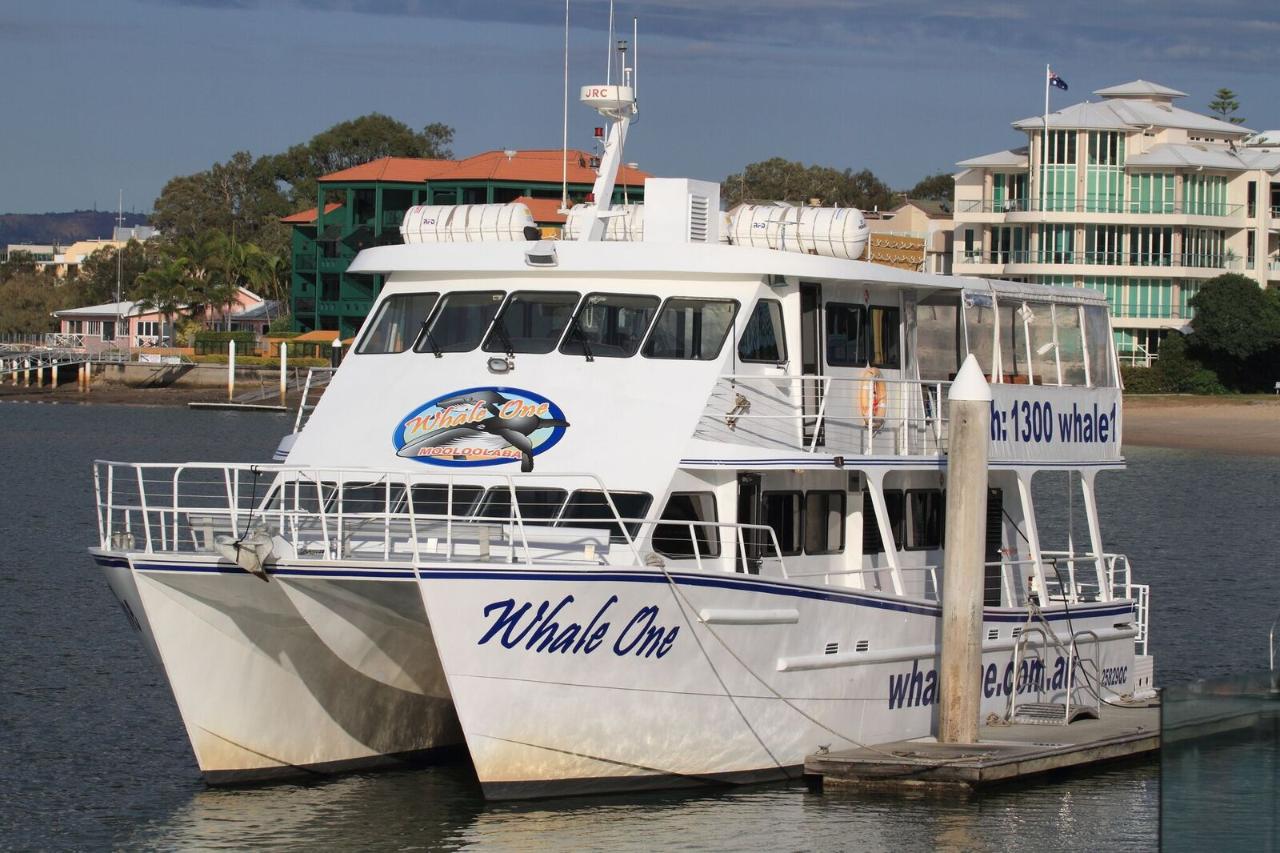 Shoreline Cruise (1pm)
