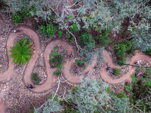 Blue Derby Pods Ride 4-Day Experience Tasmania Australia