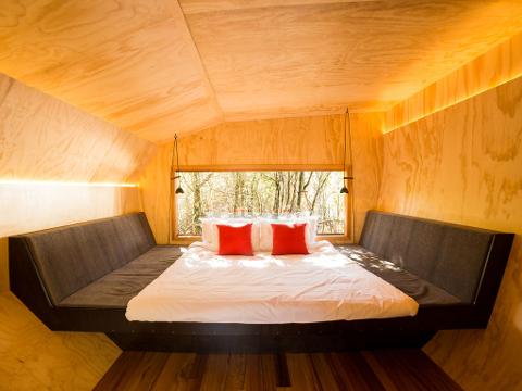 Blue Derby Pods Ride 4-Day Experience Tasmania Australia