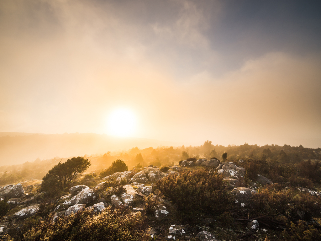 Blue Derby Pods Ride 4-Day Experience