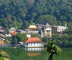 Kandy City Tour from Colombo
