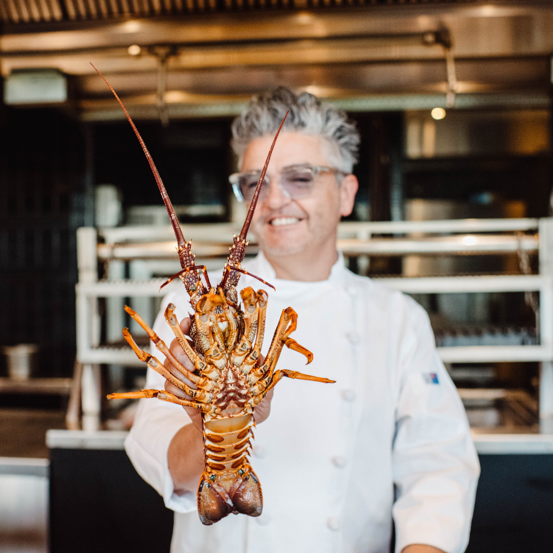 Sundowners at Sydney Seafood School: Sean Connolly's Christmas