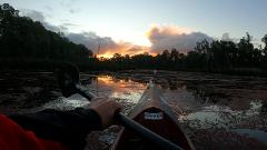 Kayak the Flooded Gunbower Forest on Reedy Lagoon at SUNSET (90 minutes)