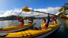 Family Pass - Self Guided Touring - Double Kayaks 2 Hours (2 Adults and 2 Children)