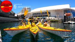 Darling Harbour Explorer - Sea Kayaking Tour