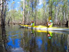 Kayak the Flooded Gunbower Forest