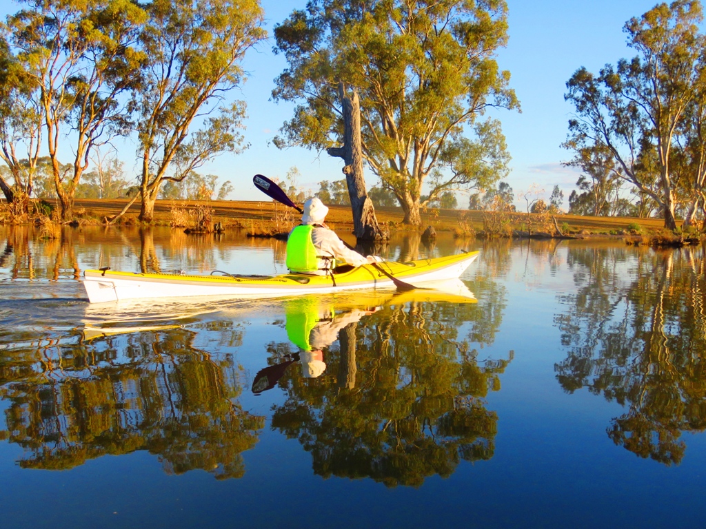 Cohuna Lagoon 3 hour Eco Tour