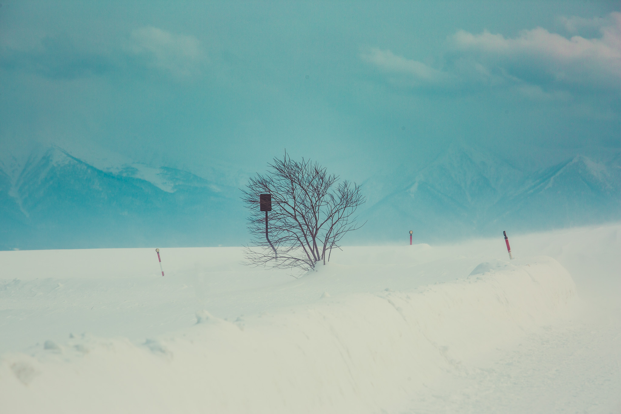 Winter in Hokkaido