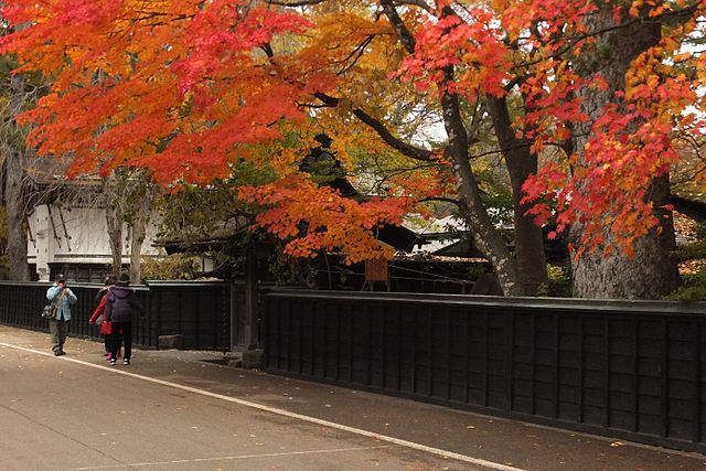 Autumn - Oct 27 - Nov 5, 2020