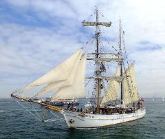 Parade of Sail Cruise 2027