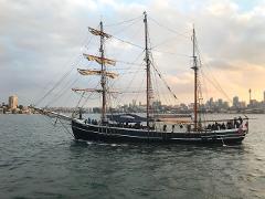 Escort Sail for Young Endeavour
