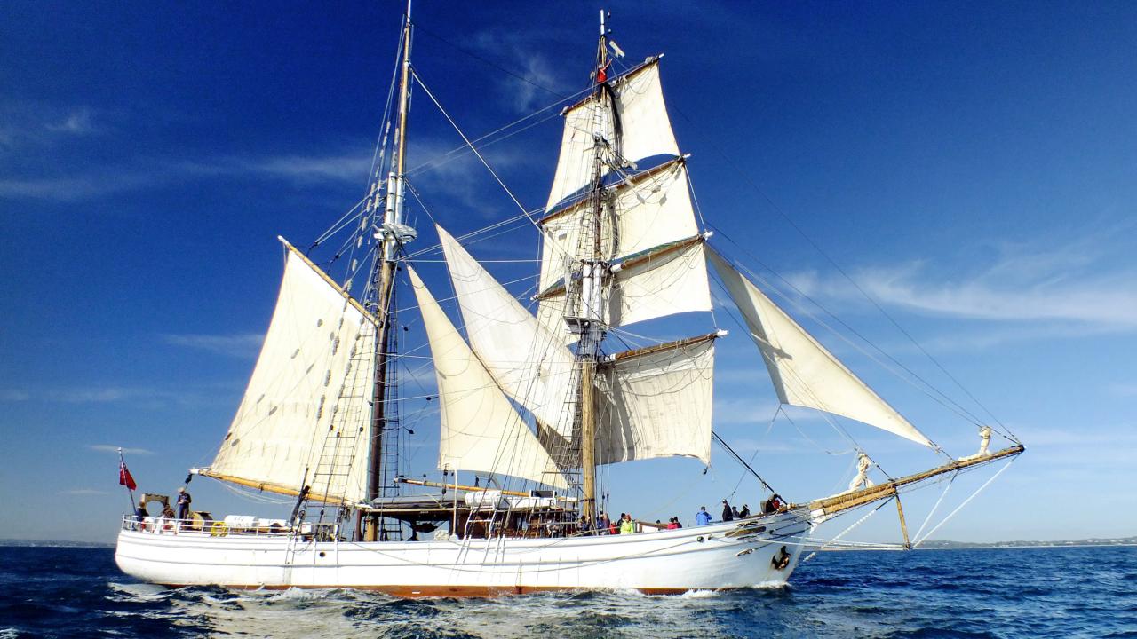 Festival in Hobart (Lunch Sail)