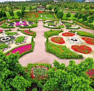 Hunter Valley Gardens - Small Group