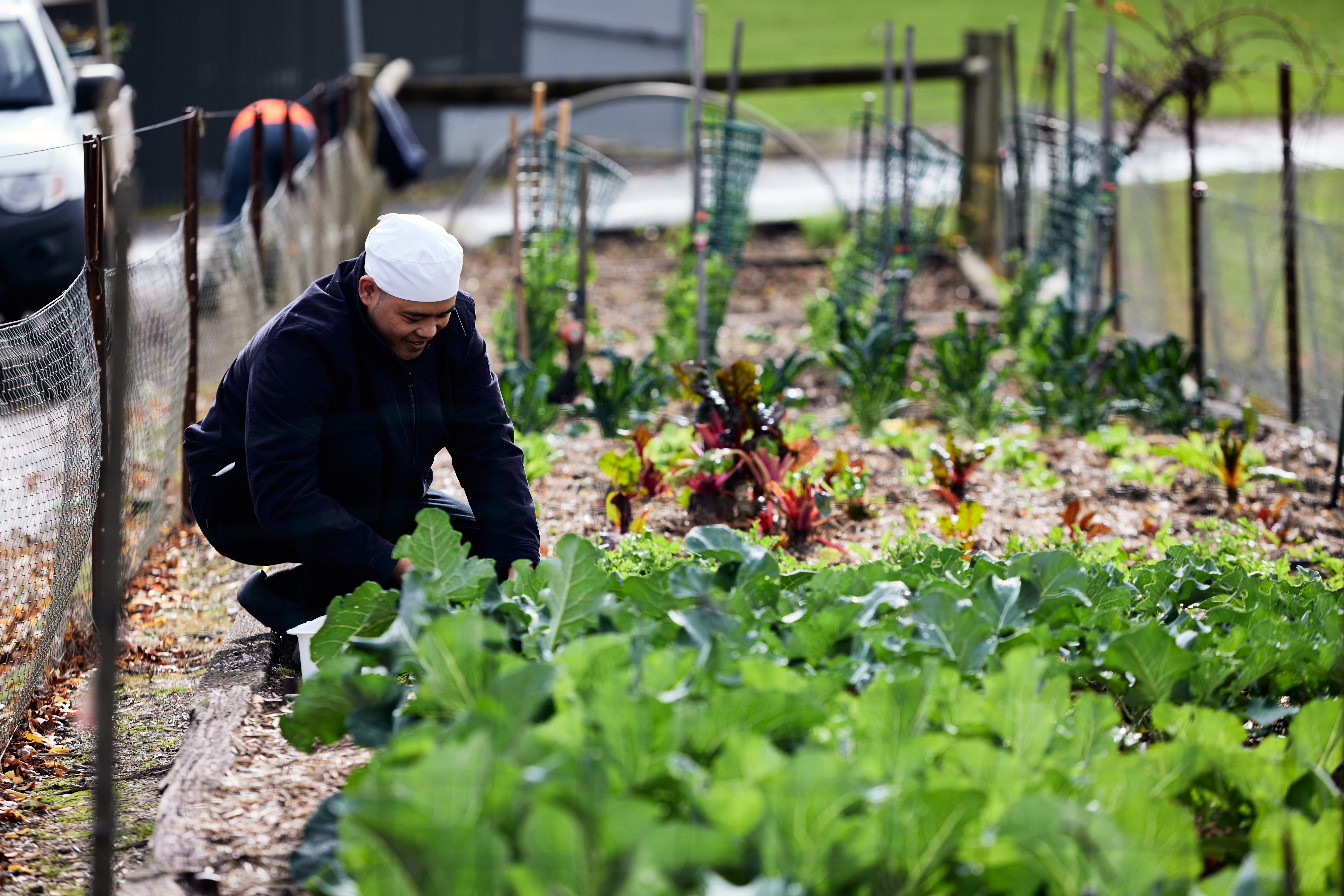 Gourmet Food & Wine Experience