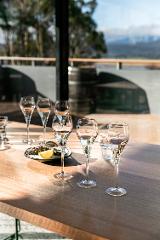 Oysters and PIRIE - a Merroir and Terroir Experience