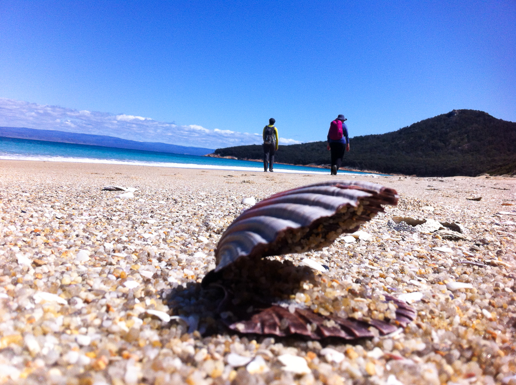 3 Day - North East Tasmania - Bay of Fires and Freycinet Peninsula