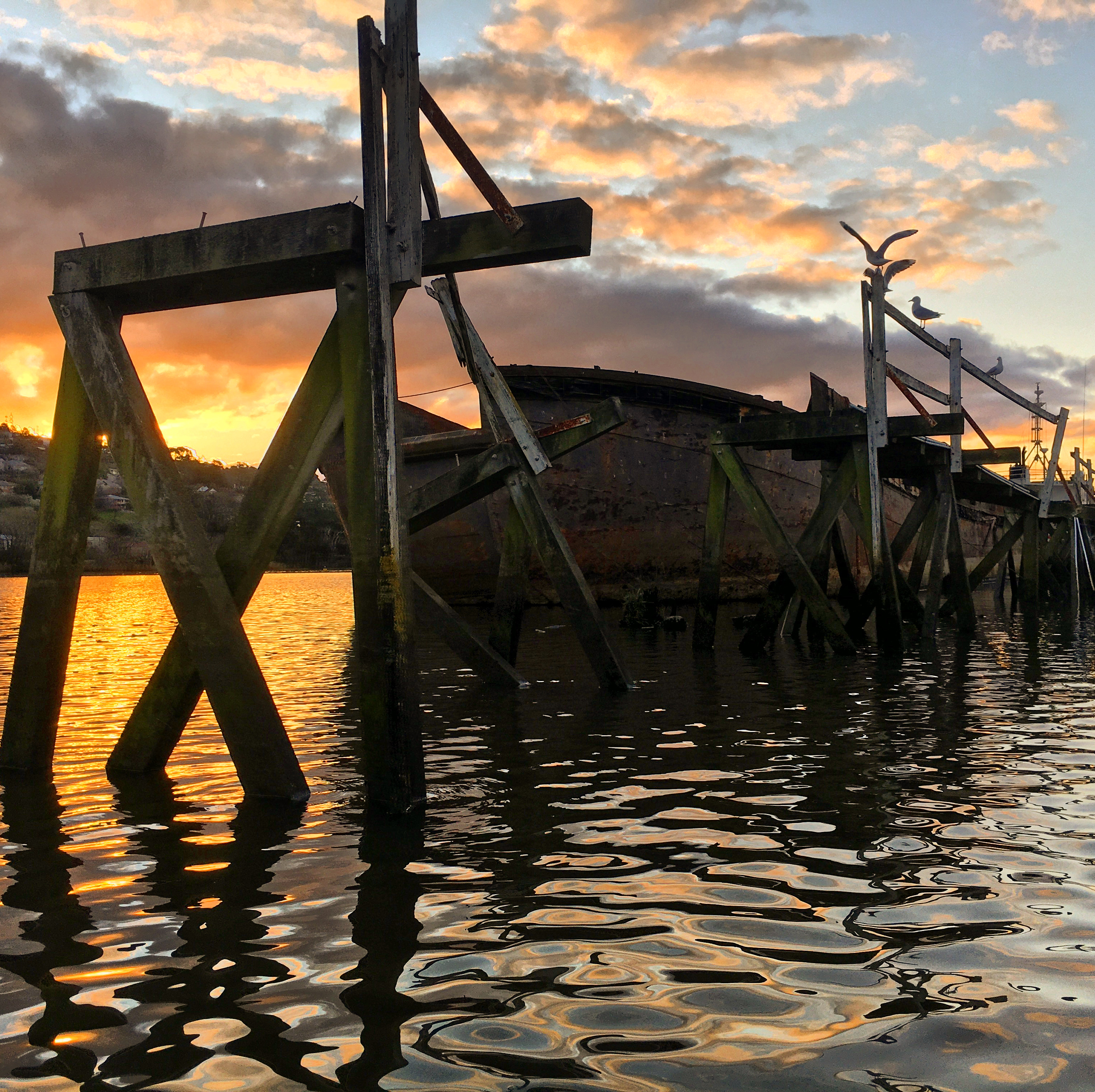 Tamar River Hobie Kayak Tour