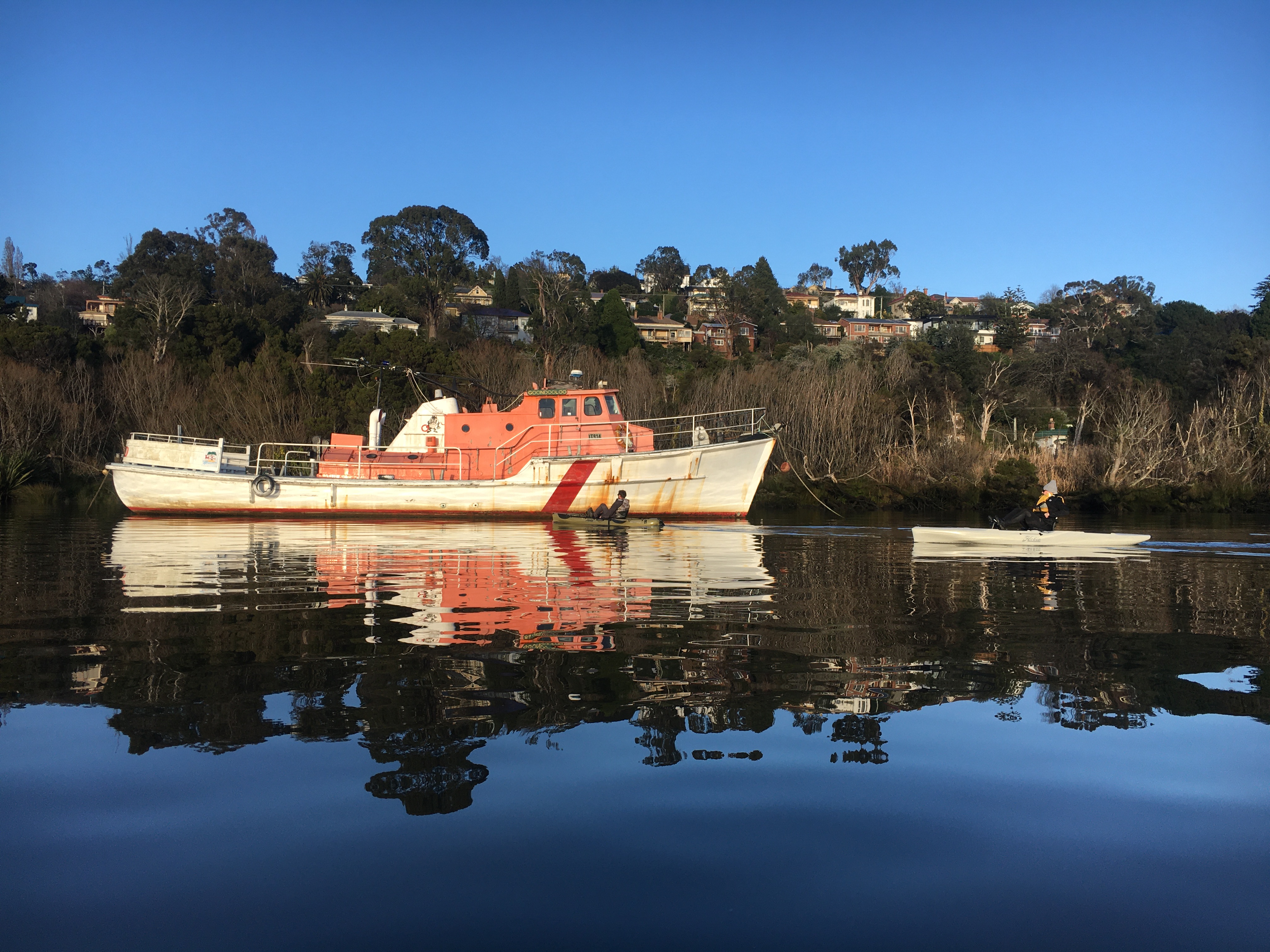 Tamar River Hobie Kayak Tour