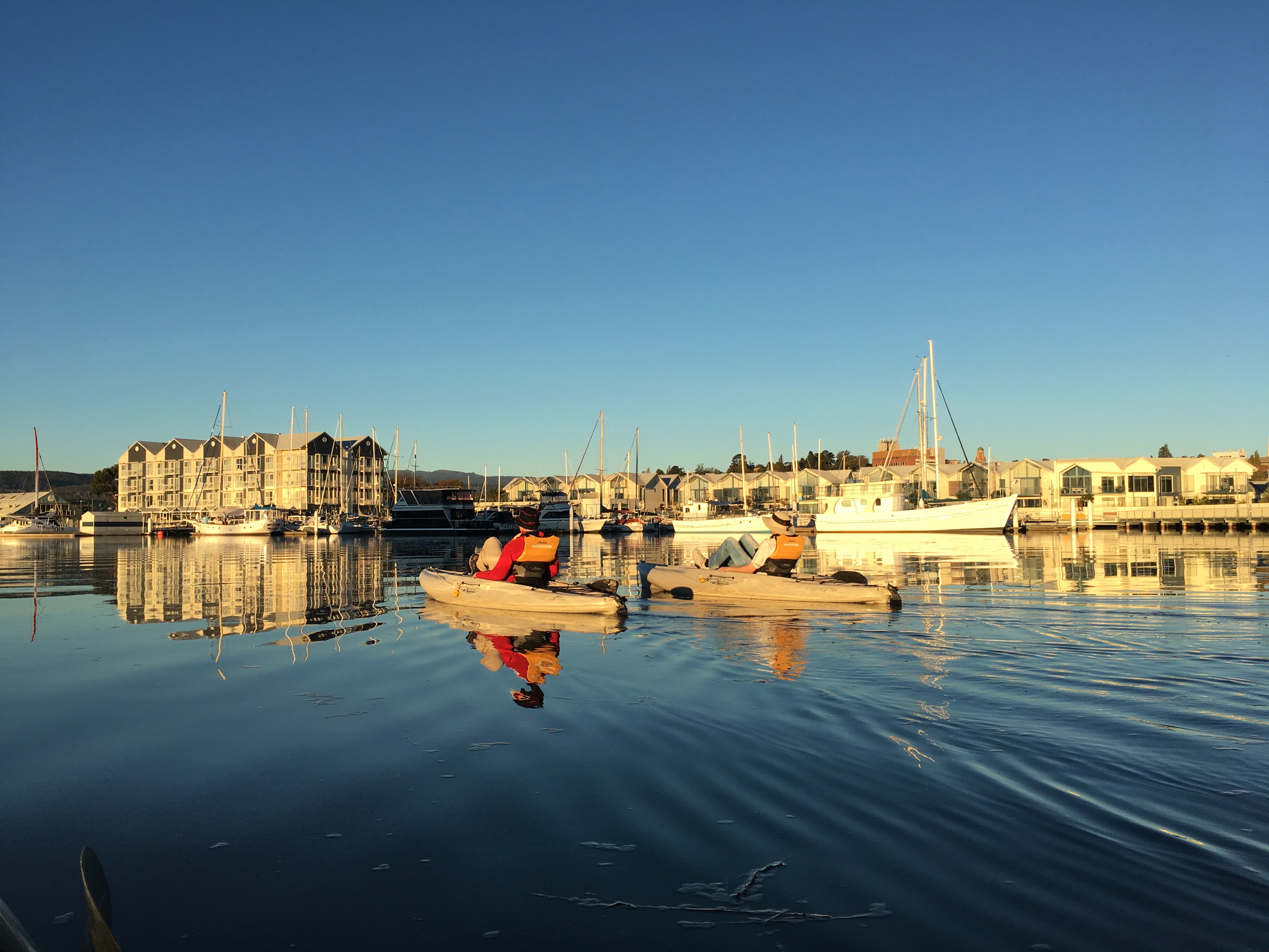 Tamar River Hobie Kayak Tour