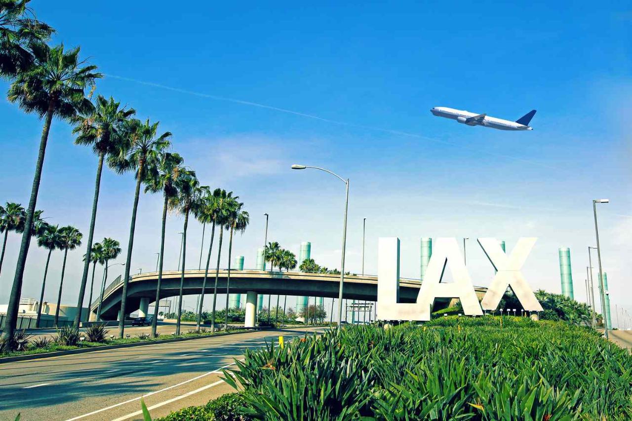 LAX/Cruise Port to Temecula Valley Private Shuttle