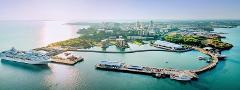 Cruise Ship Special: 4-Hour Outback Gourmet Food & Art Tour