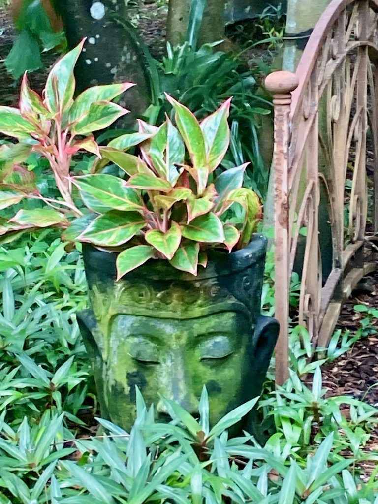 Private 4-Hour Tropical Garden Tour