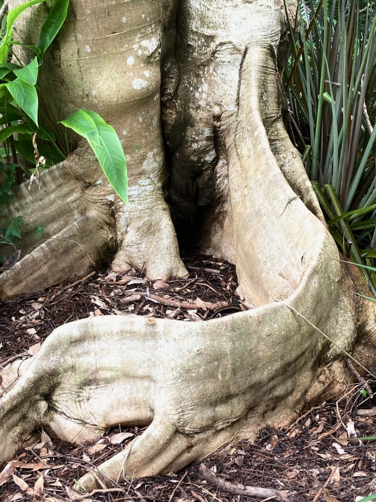 4-Hour Private Tropical Garden Tour