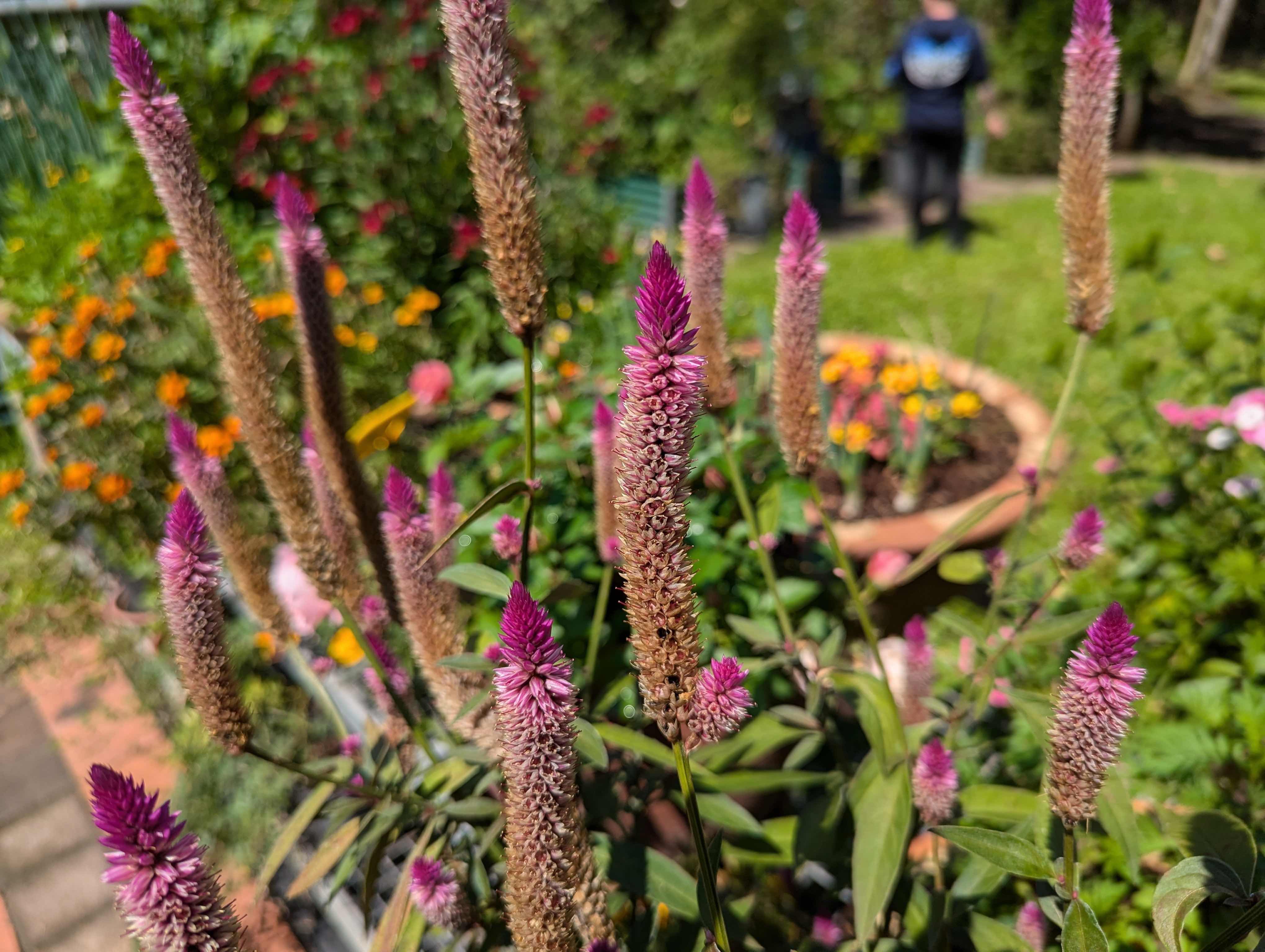 Private Forage for an Outback Gourmet Feast & Sightseeing