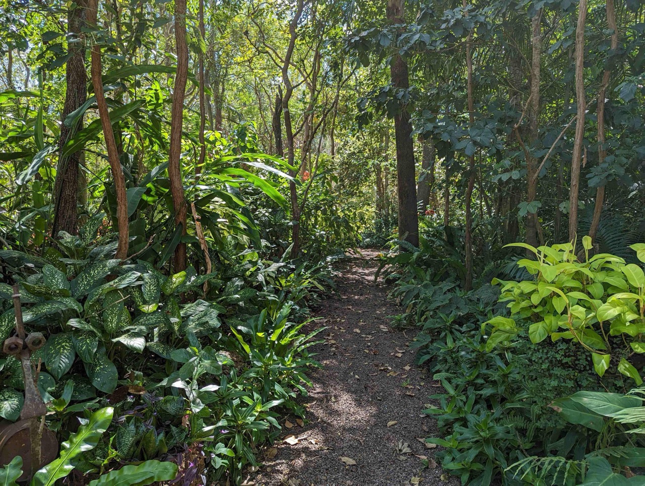 Full Day Tropical Gardens Tour with Outback Gourmet Meal & Sightseeing