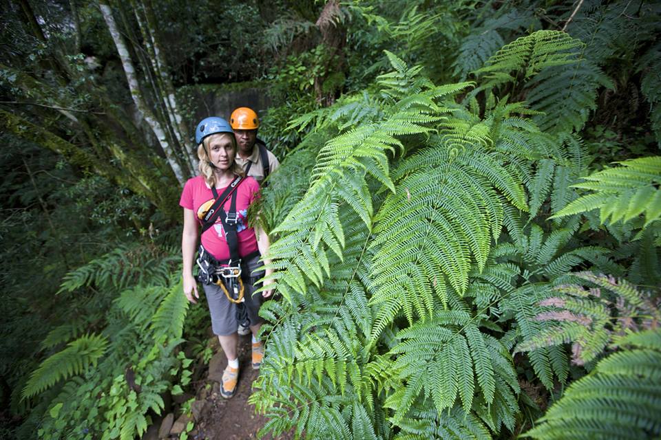 Drakensberg Canopy Tour