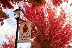 Half Day Adelaide City Highlights and Hahndorf Tour (Cruise Departure)