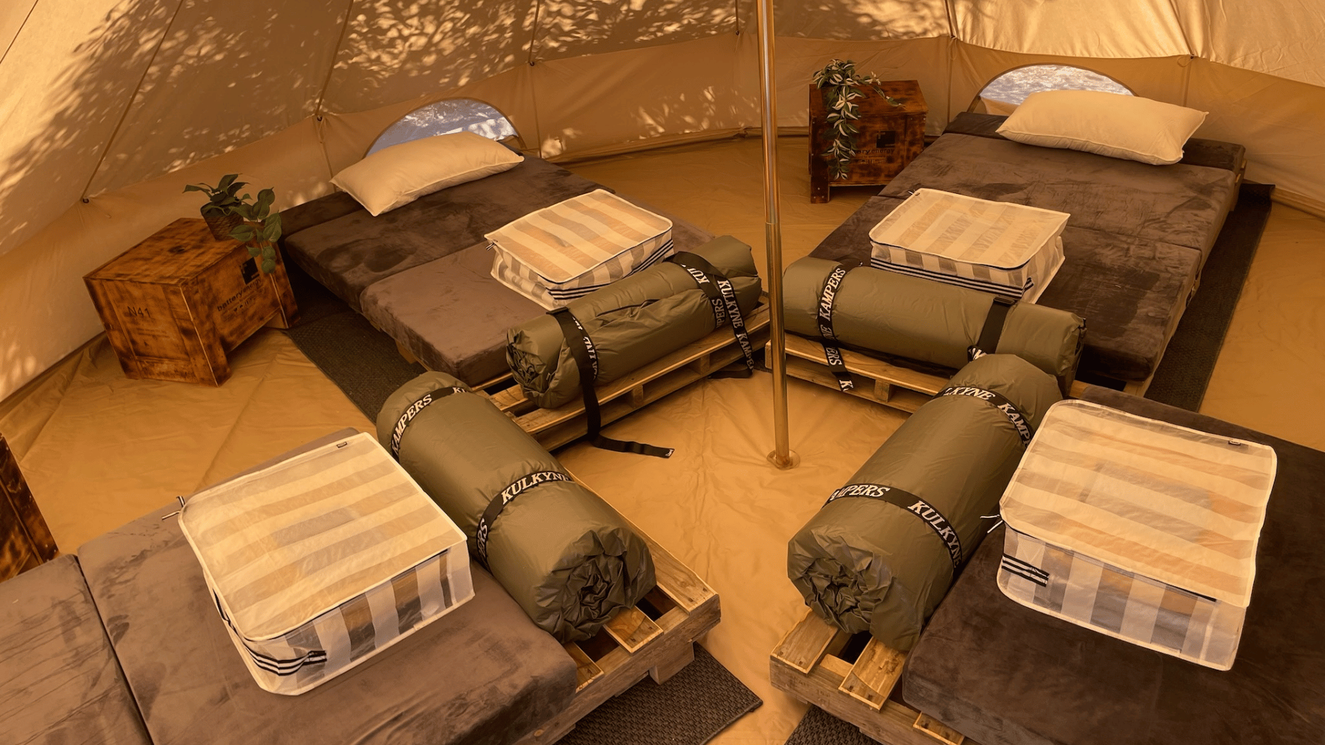 Adelaide: Kangaroo Island 2 Day 1 night Wildlife Adventure