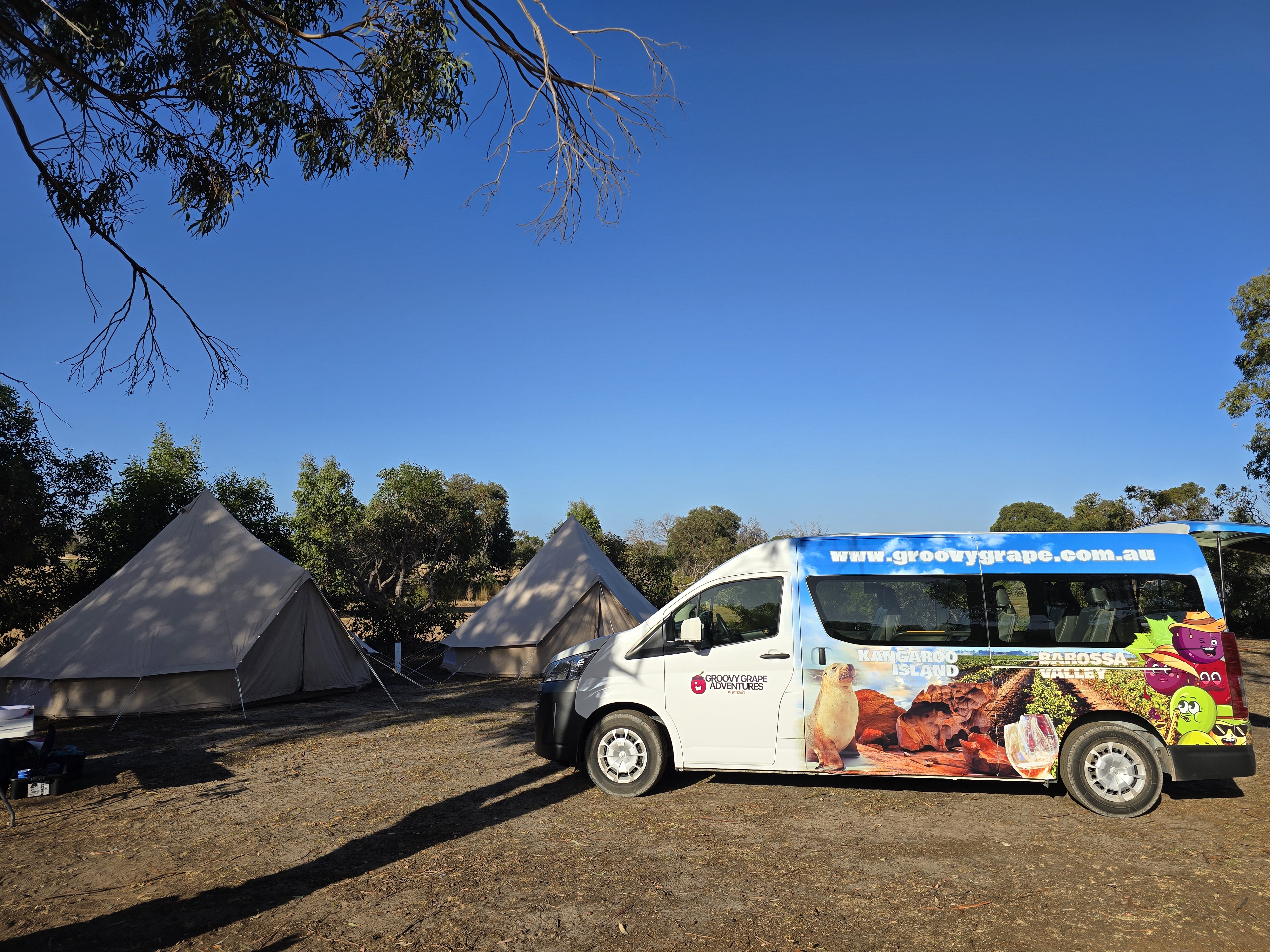 Adelaide: Kangaroo Island 2 Day 1 night Wildlife Adventure