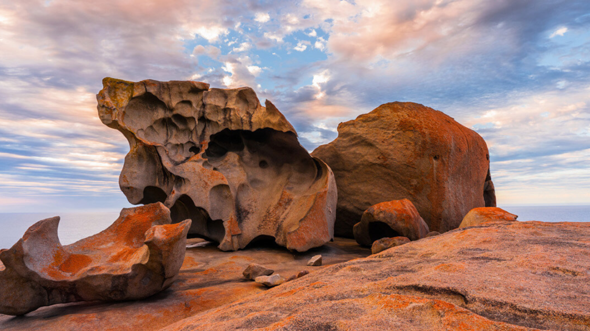 Adelaide: Kangaroo Island 2 Day 1 night Wildlife Adventure