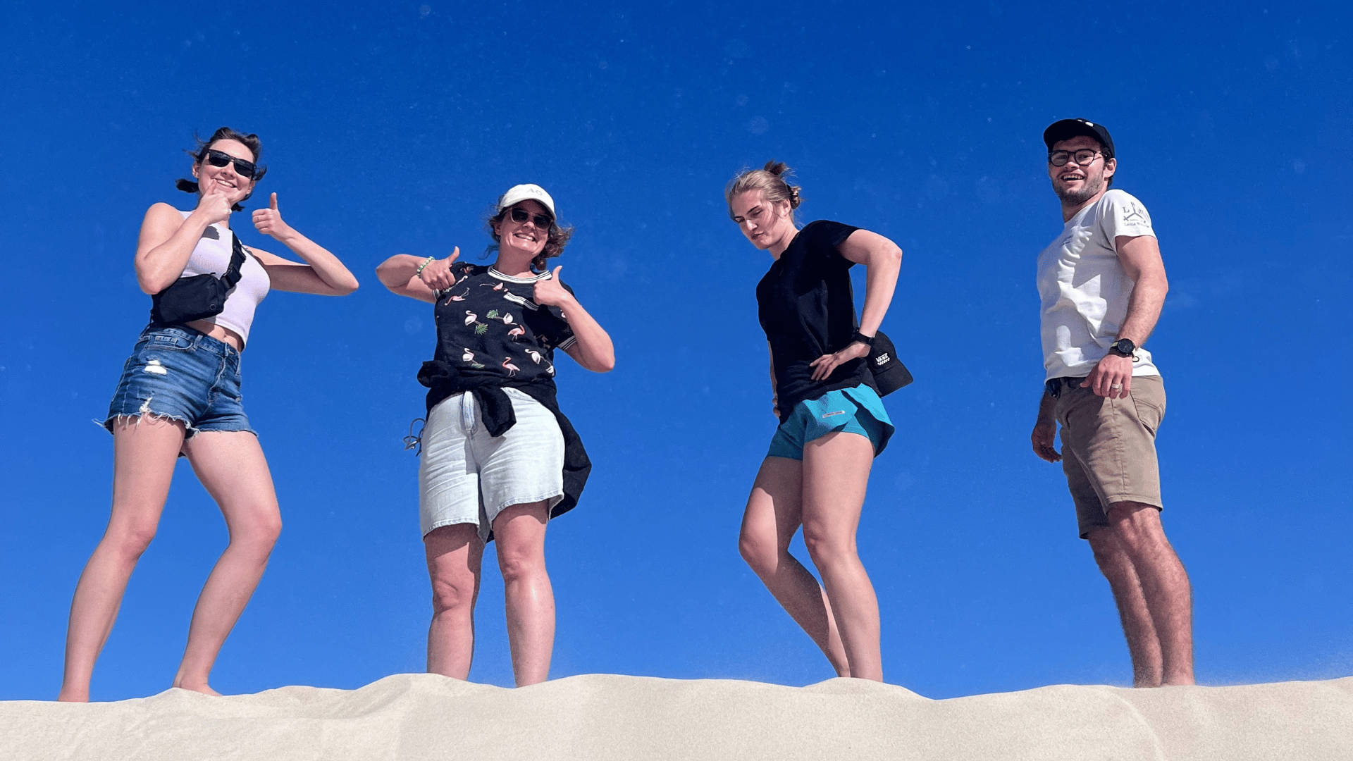 Adelaide: Kangaroo Island 2 Day 1 night Wildlife Adventure